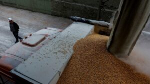 <strong>European leaders urge Putin to unblock Ukraine’s grain supplies</strong>