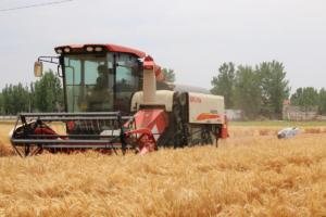 <strong>With climate shocks jeopardizing harvests</strong>

&nbsp;
