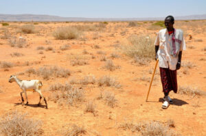 <strong>Addressing Climate Change Challenges in Fragile African States: Urgent Actions Needed</strong>